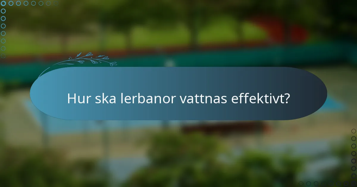 Hur ska lerbanor vattnas effektivt?